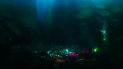 3 Product Animated Scenes deep sea